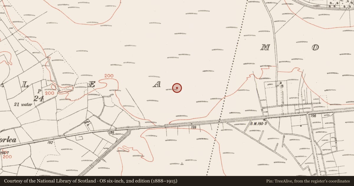 Ordnance Survey six-inch map, 2nd edition (1888–1915) covering the location of Road - class 2 togher, Corlea, County Longford, with a pin at the register's coordinates