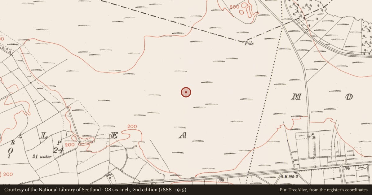 Ordnance Survey six-inch map, 2nd edition (1888–1915) covering the location of Road - class 2 togher, Corlea, County Longford, with a pin at the register's coordinates