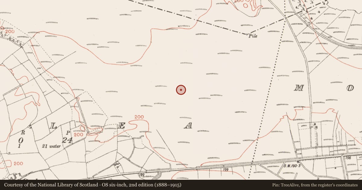 Ordnance Survey six-inch map, 2nd edition (1888–1915) covering the location of Road - class 3 togher, Corlea, County Longford, with a pin at the register's coordinates