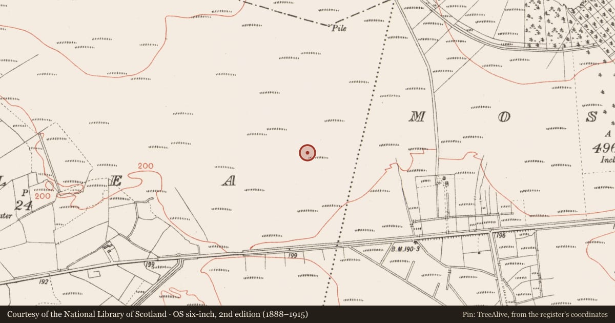 Ordnance Survey six-inch map, 2nd edition (1888–1915) covering the location of Road - class 3 togher, Corlea, County Longford, with a pin at the register's coordinates