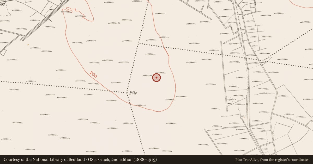 Ordnance Survey six-inch map, 2nd edition (1888–1915) covering the location of Road - class 2 togher, Cloonbreany, County Longford, with a pin at the register's coordinates