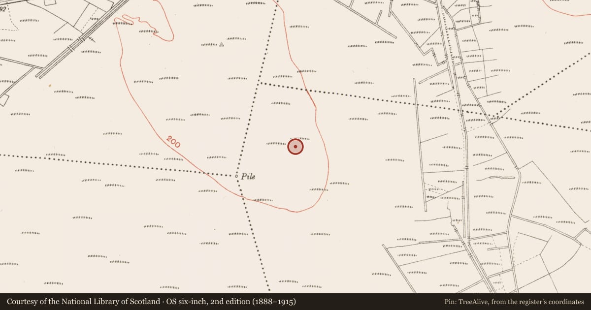 Ordnance Survey six-inch map, 2nd edition (1888–1915) covering the location of Road - class 2 togher, Cloonbreany, County Longford, with a pin at the register's coordinates
