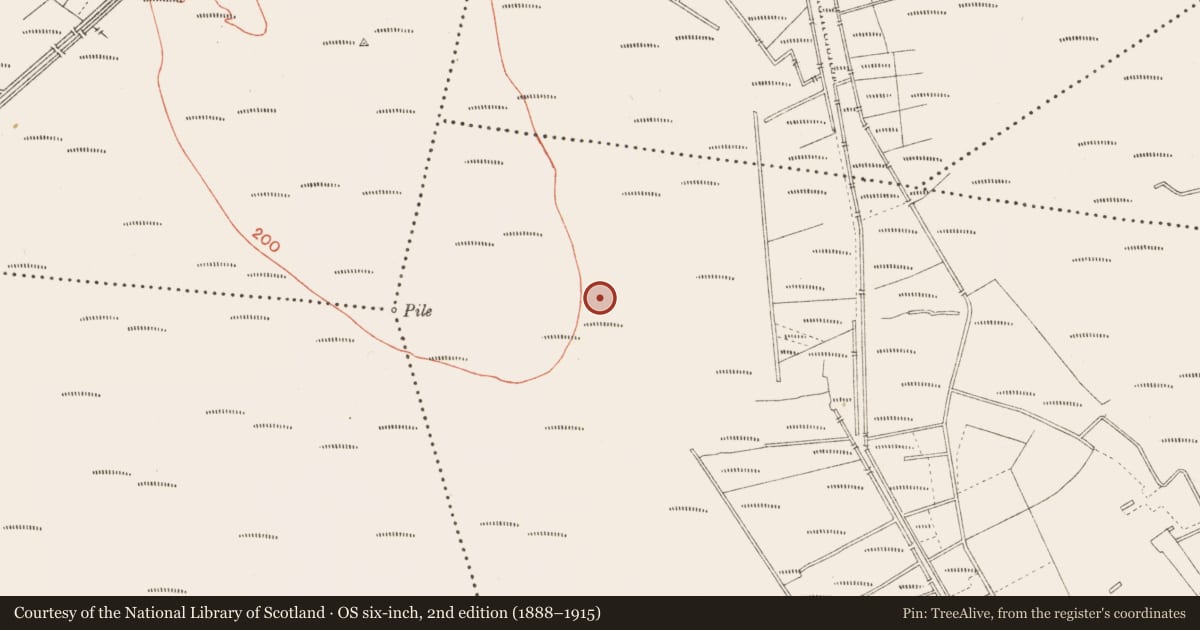 Ordnance Survey six-inch map, 2nd edition (1888–1915) covering the location of Road - class 2 togher, Cloonbreany, County Longford, with a pin at the register's coordinates