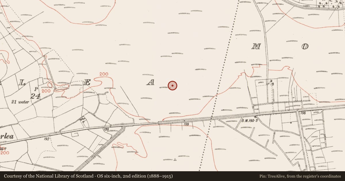 Ordnance Survey six-inch map, 2nd edition (1888–1915) covering the location of Road - class 3 togher, Corlea, County Longford, with a pin at the register's coordinates
