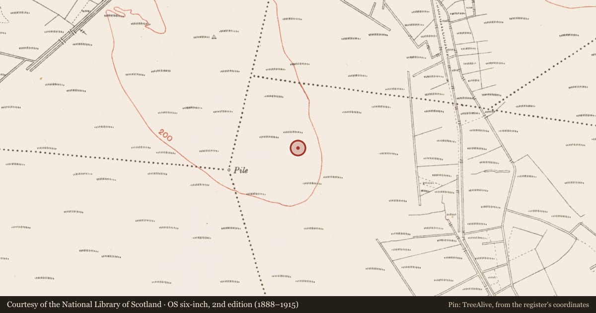 Ordnance Survey six-inch map, 2nd edition (1888–1915) covering the location of Road - class 3 togher, Cloonbreany, County Longford, with a pin at the register's coordinates