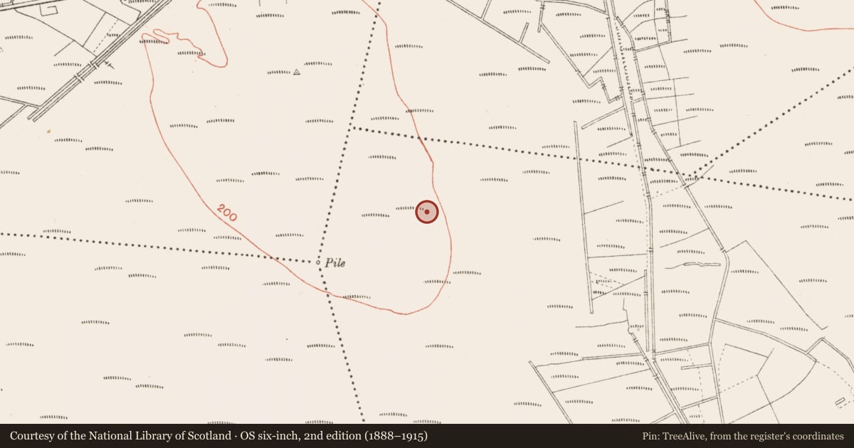 Ordnance Survey six-inch map, 2nd edition (1888–1915) covering the location of Road - class 3 togher, Cloonbreany, County Longford, with a pin at the register's coordinates