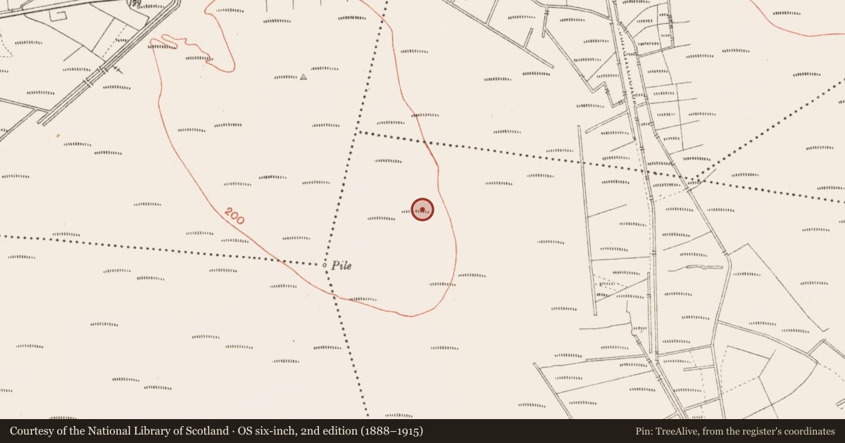 Ordnance Survey six-inch map, 2nd edition (1888–1915) covering the location of Road - class 3 togher, Cloonbreany, County Longford, with a pin at the register's coordinates