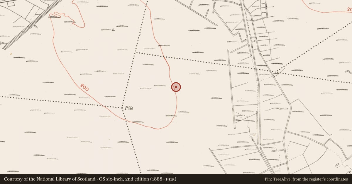 Ordnance Survey six-inch map, 2nd edition (1888–1915) covering the location of Road - class 2 togher, Cloonbreany, County Longford, with a pin at the register's coordinates