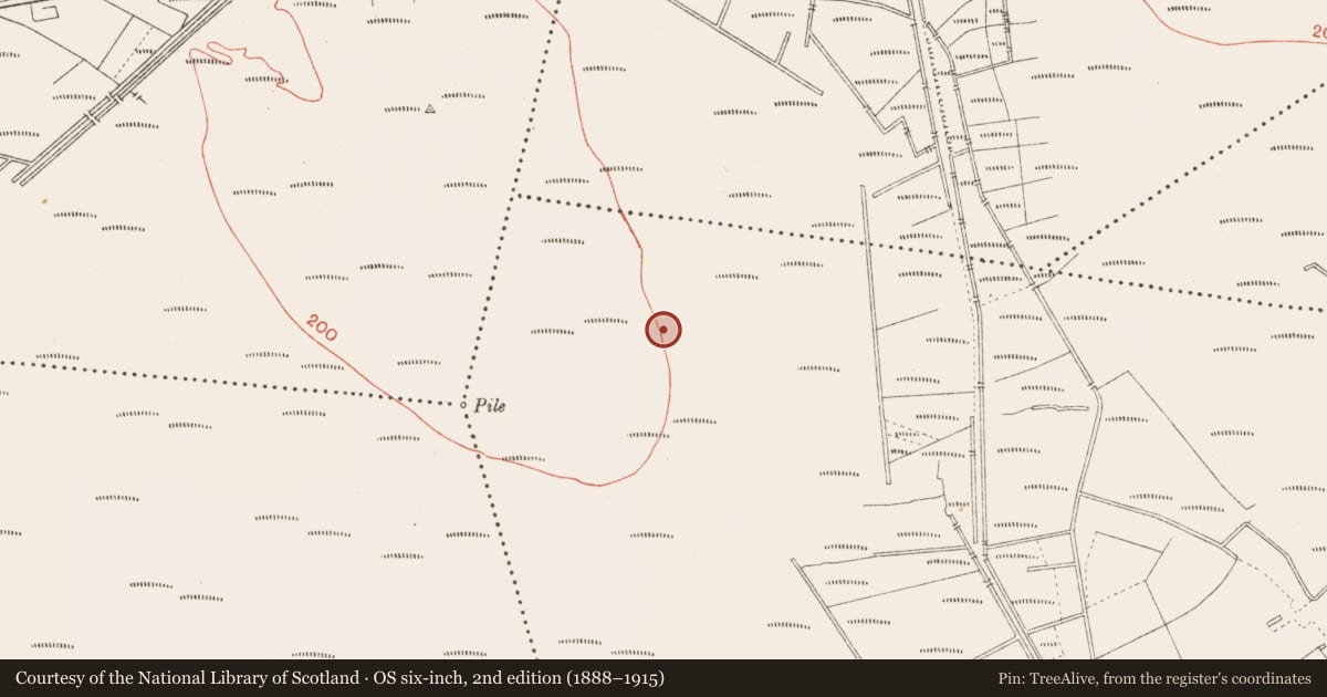 Ordnance Survey six-inch map, 2nd edition (1888–1915) covering the location of Road - class 3 togher, Cloonbreany, County Longford, with a pin at the register's coordinates