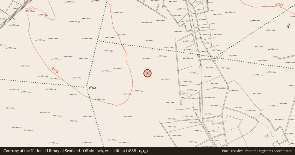 Ordnance Survey six-inch map, 2nd edition (1888–1915) covering the location of Road - class 3 togher, Cloonbreany, County Longford, with a pin at the register's coordinates