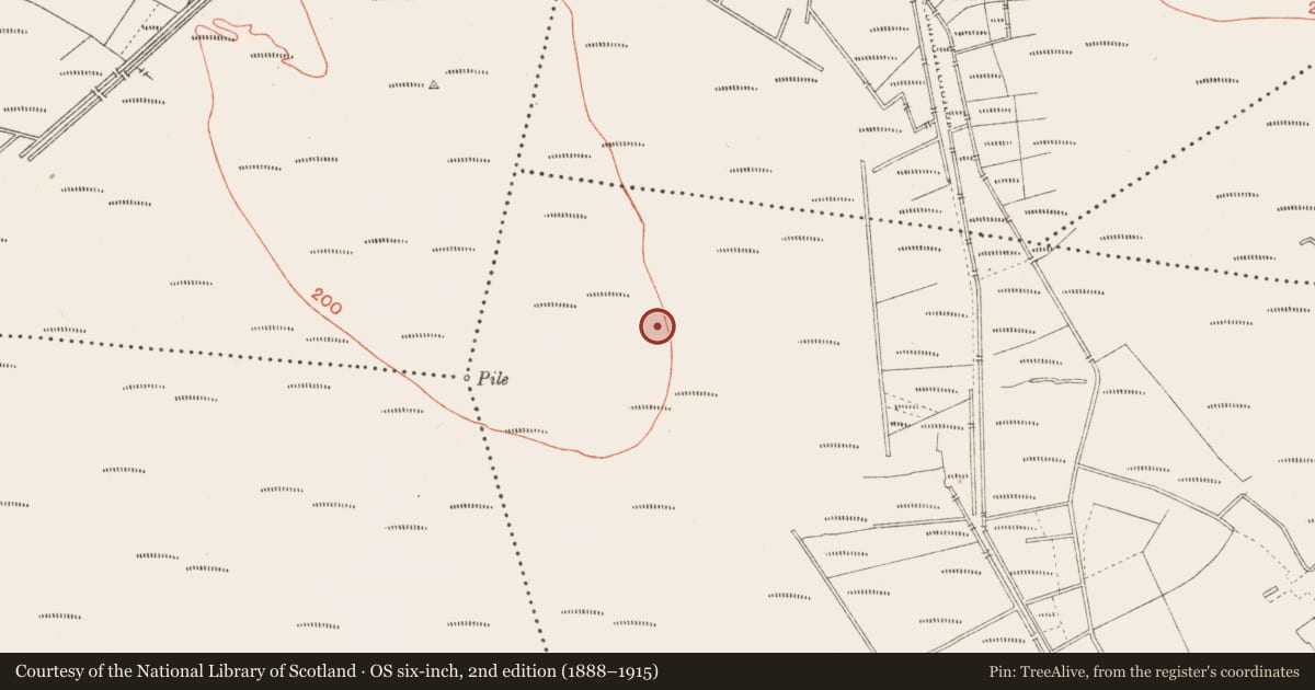 Ordnance Survey six-inch map, 2nd edition (1888–1915) covering the location of Road - class 3 togher, Cloonbreany, County Longford, with a pin at the register's coordinates