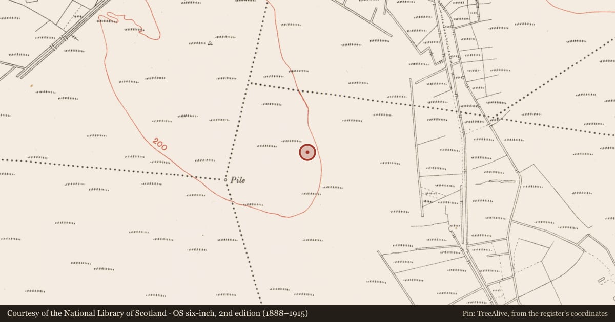 Ordnance Survey six-inch map, 2nd edition (1888–1915) covering the location of Road - class 3 togher, Cloonbreany, County Longford, with a pin at the register's coordinates