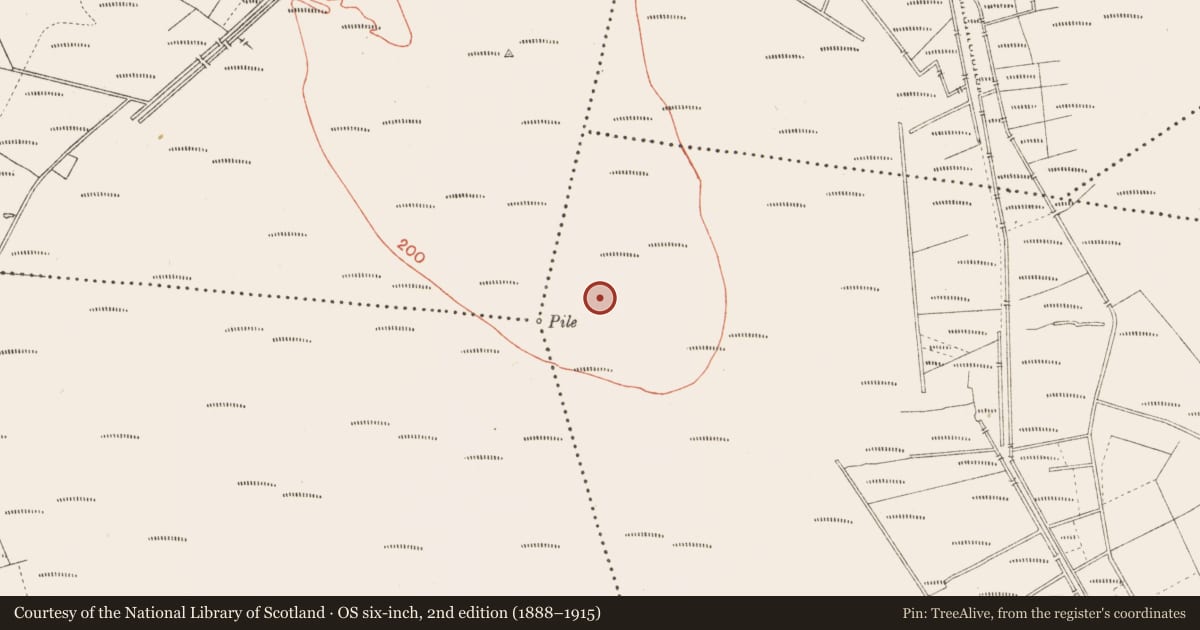 Ordnance Survey six-inch map, 2nd edition (1888–1915) covering the location of Road - class 3 togher, Cloonbreany, County Longford, with a pin at the register's coordinates