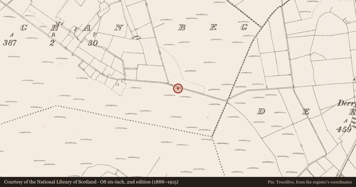 Ordnance Survey six-inch map, 2nd edition (1888–1915) covering the location of Road - class 3 togher, Derraghan Beg, County Longford, with a pin at the register's coordinates