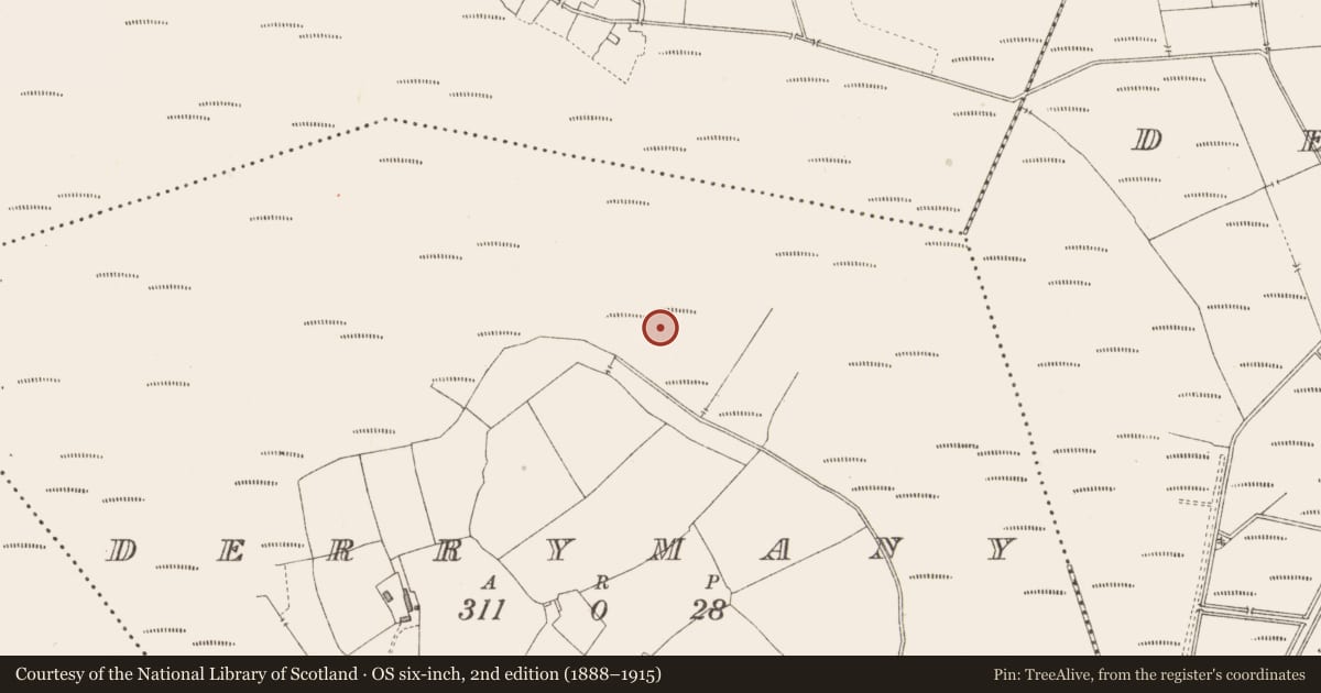 Ordnance Survey six-inch map, 2nd edition (1888–1915) covering the location of Road - class 3 togher, Derrymany, County Longford, with a pin at the register's coordinates