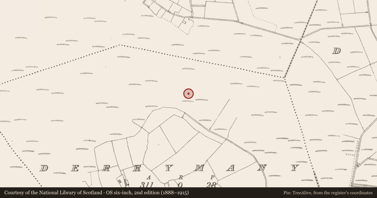 Ordnance Survey six-inch map, 2nd edition (1888–1915) covering the location of Road - class 3 togher, Derrymany, County Longford, with a pin at the register's coordinates