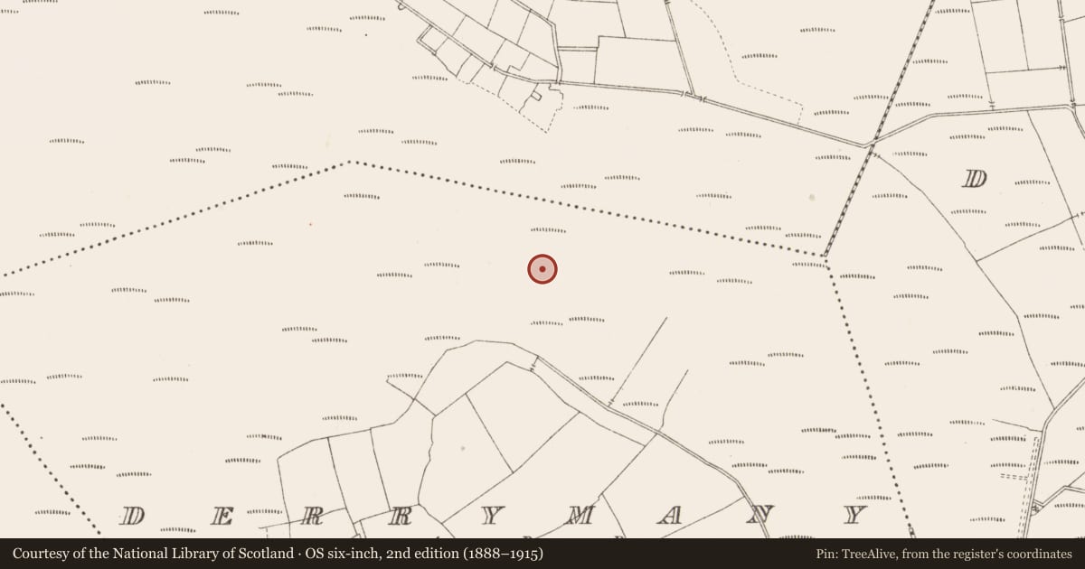 Ordnance Survey six-inch map, 2nd edition (1888–1915) covering the location of Road - class 3 togher, Derrymany, County Longford, with a pin at the register's coordinates