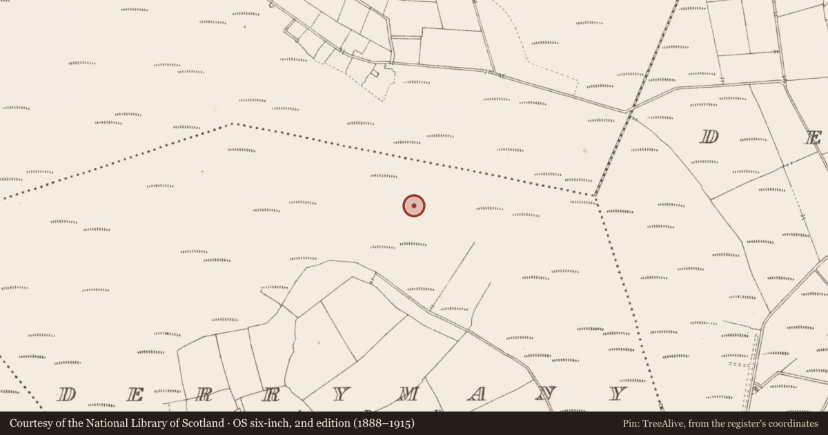 Ordnance Survey six-inch map, 2nd edition (1888–1915) covering the location of Road - class 3 togher, Derrymany, County Longford, with a pin at the register's coordinates