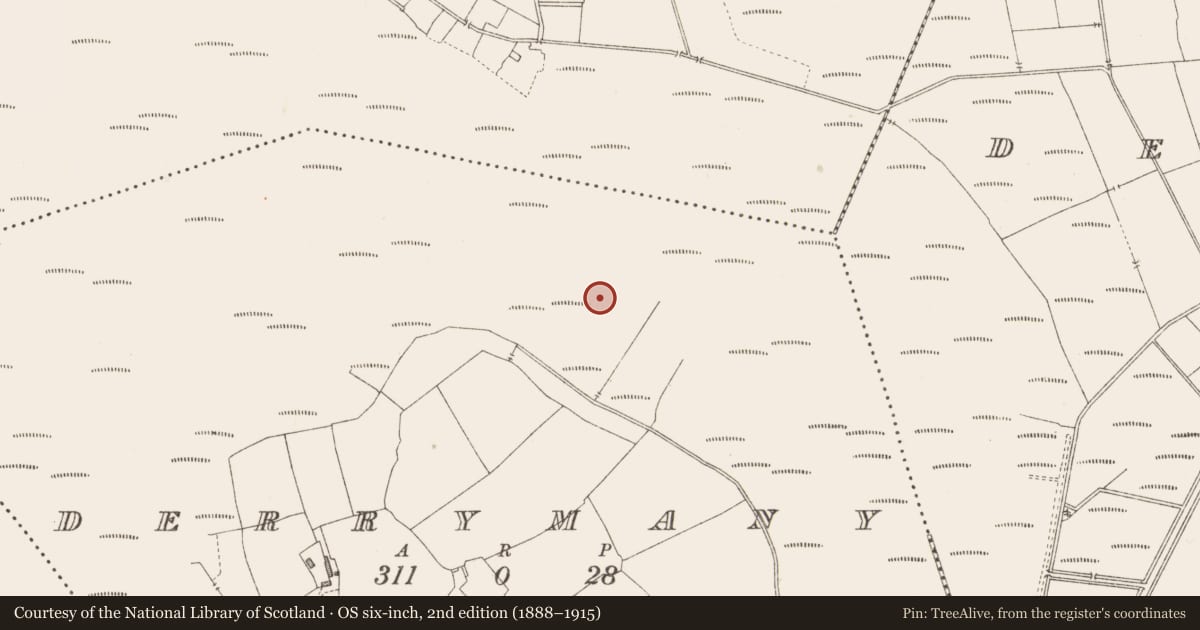 Ordnance Survey six-inch map, 2nd edition (1888–1915) covering the location of Road - class 3 togher, Derrymany, County Longford, with a pin at the register's coordinates