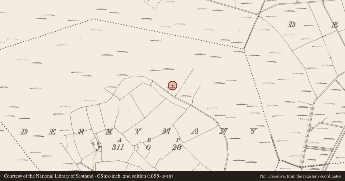 Ordnance Survey six-inch map, 2nd edition (1888–1915) covering the location of Road - class 3 togher, Derrymany, County Longford, with a pin at the register's coordinates