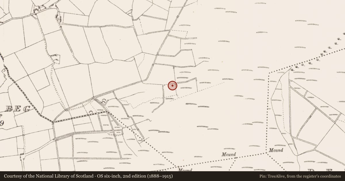 Ordnance Survey six-inch map, 2nd edition (1888–1915) covering the location of Road - class 3 togher, Derrygowna, County Longford, with a pin at the register's coordinates