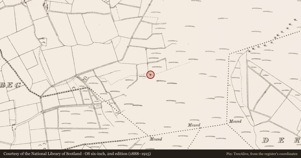 Ordnance Survey six-inch map, 2nd edition (1888–1915) covering the location of Road - class 3 togher, Derrygowna, County Longford, with a pin at the register's coordinates