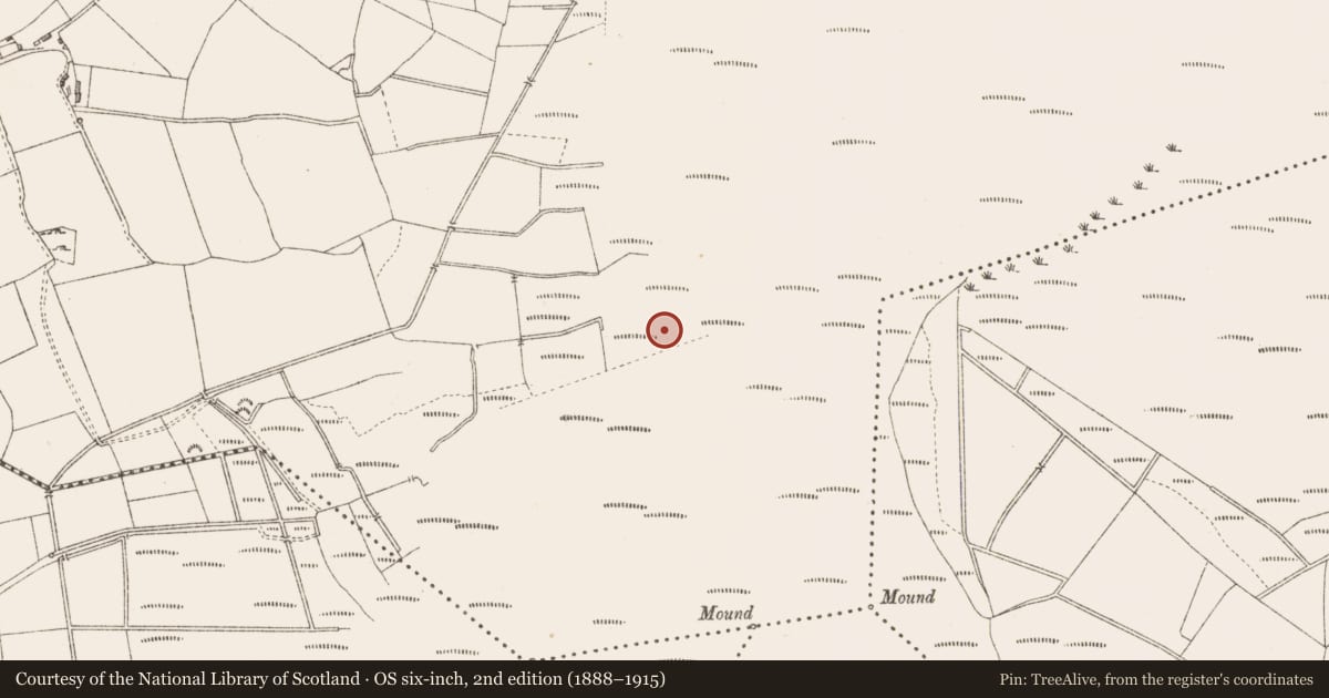 Ordnance Survey six-inch map, 2nd edition (1888–1915) covering the location of Road - class 3 togher, Derrygowna, County Longford, with a pin at the register's coordinates