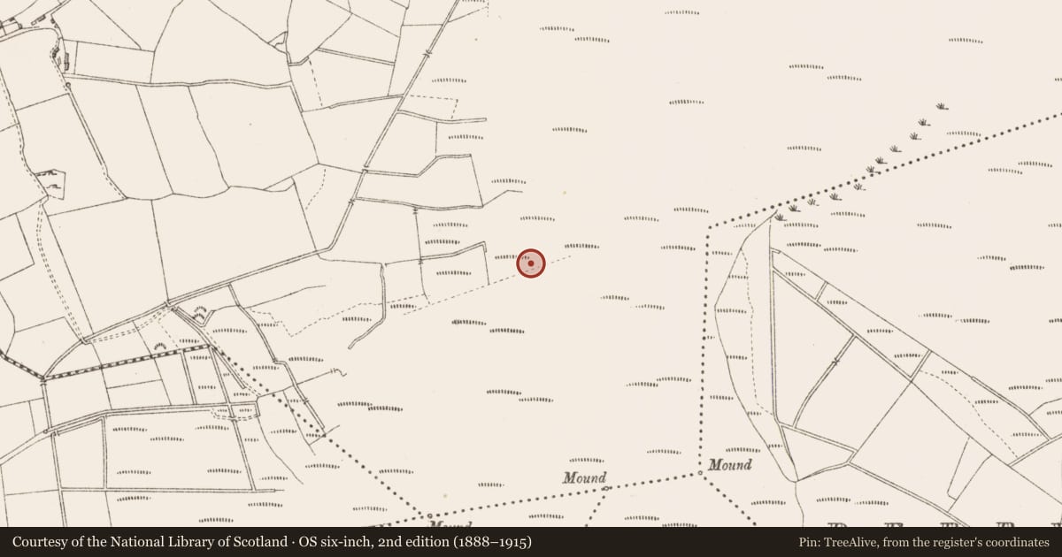 Ordnance Survey six-inch map, 2nd edition (1888–1915) covering the location of Road - class 3 togher, Derrygowna, County Longford, with a pin at the register's coordinates