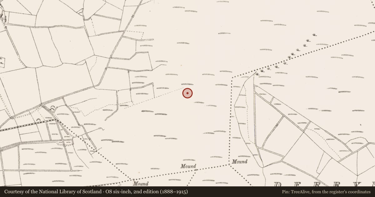 Ordnance Survey six-inch map, 2nd edition (1888–1915) covering the location of Road - class 2 togher, Derrygowna, County Longford, with a pin at the register's coordinates