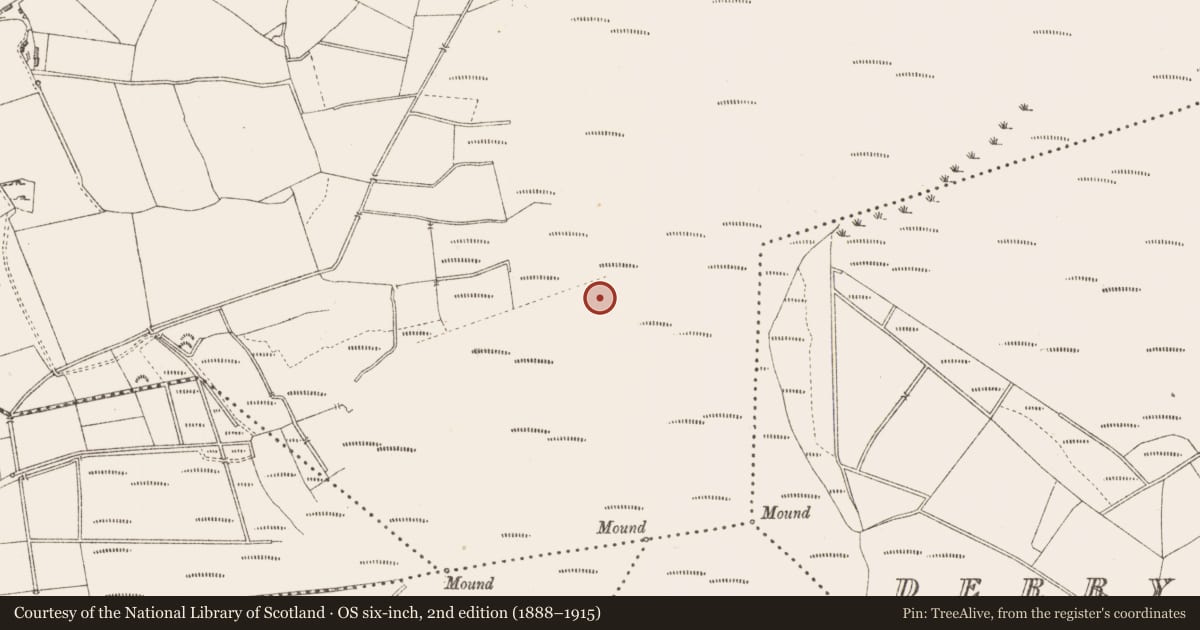 Ordnance Survey six-inch map, 2nd edition (1888–1915) covering the location of Road - class 3 togher, Derrygowna, County Longford, with a pin at the register's coordinates