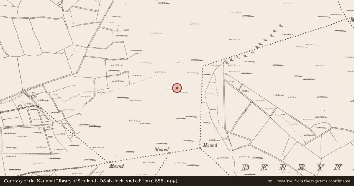 Ordnance Survey six-inch map, 2nd edition (1888–1915) covering the location of Road - class 3 togher, Derrygowna, County Longford, with a pin at the register's coordinates