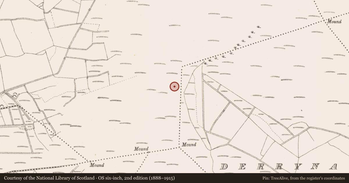 Ordnance Survey six-inch map, 2nd edition (1888–1915) covering the location of Road - class 3 togher, Derrygowna, County Longford, with a pin at the register's coordinates