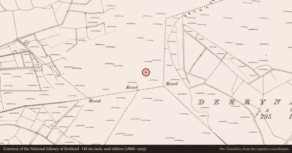 Ordnance Survey six-inch map, 2nd edition (1888–1915) covering the location of Road - class 3 togher, Derrygowna, County Longford, with a pin at the register's coordinates