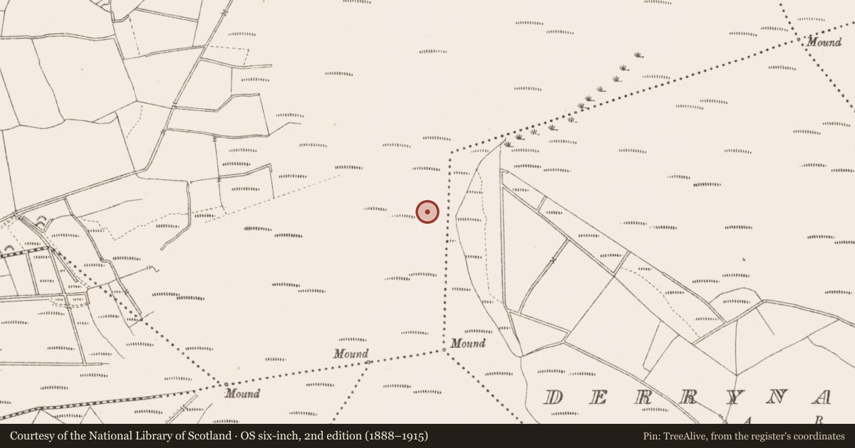 Ordnance Survey six-inch map, 2nd edition (1888–1915) covering the location of Structure - peatland, Derrygowna, County Longford, with a pin at the register's coordinates