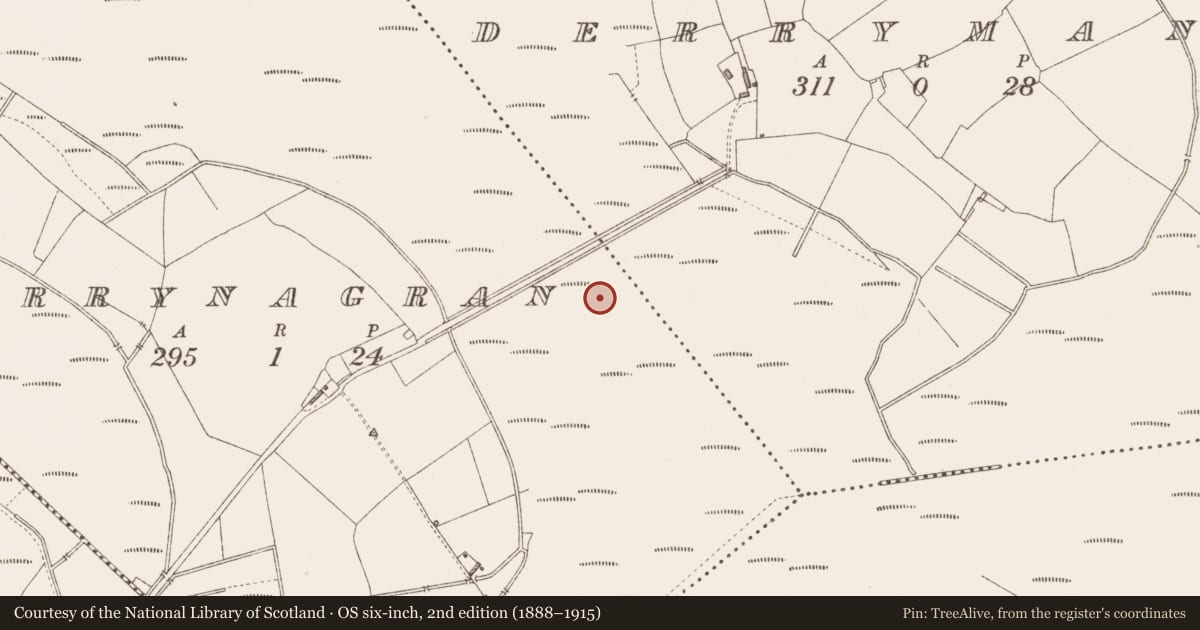 Ordnance Survey six-inch map, 2nd edition (1888–1915) covering the location of Road - class 3 togher, Derrynagran, County Longford, with a pin at the register's coordinates