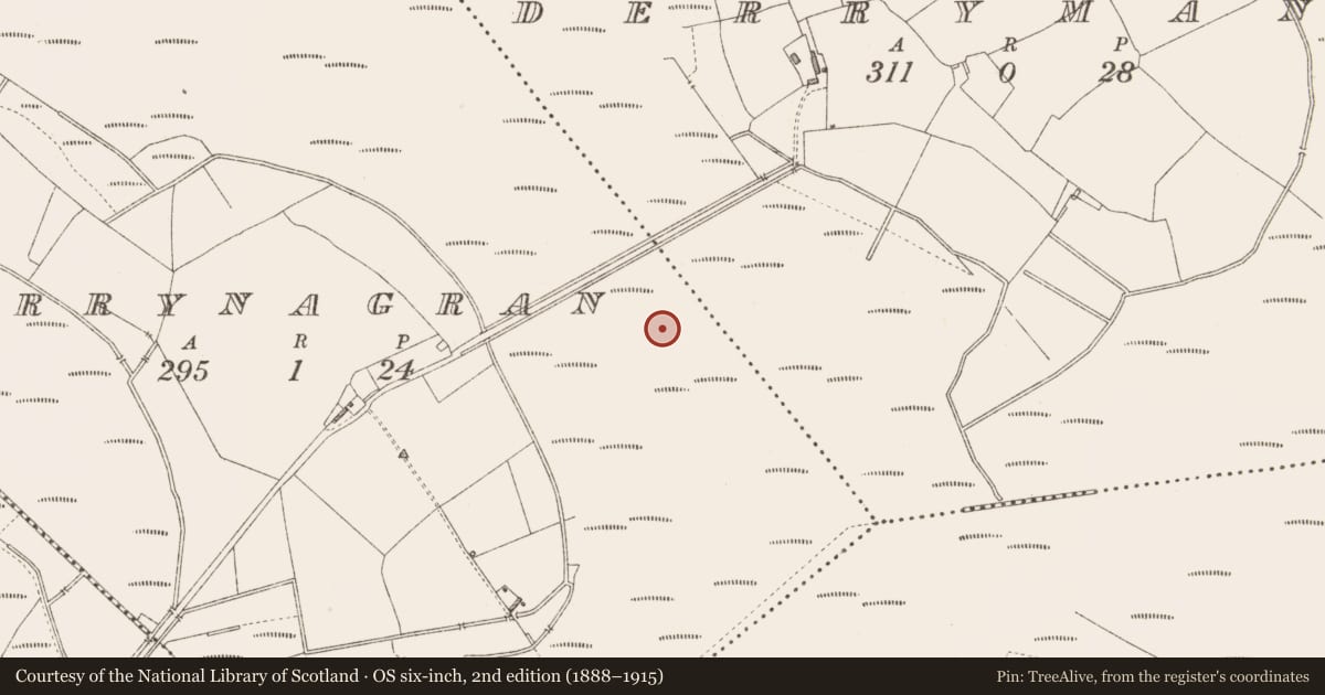 Ordnance Survey six-inch map, 2nd edition (1888–1915) covering the location of Road - class 3 togher, Derrynagran, County Longford, with a pin at the register's coordinates
