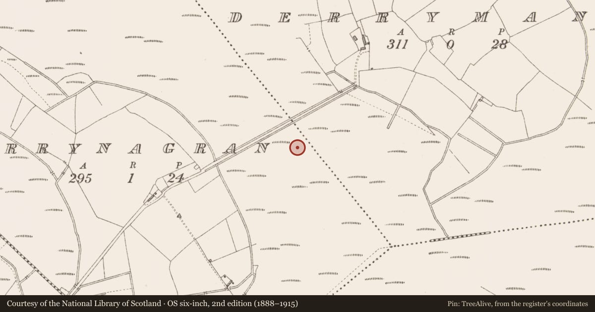 Ordnance Survey six-inch map, 2nd edition (1888–1915) covering the location of Road - class 3 togher, Derrynagran, County Longford, with a pin at the register's coordinates
