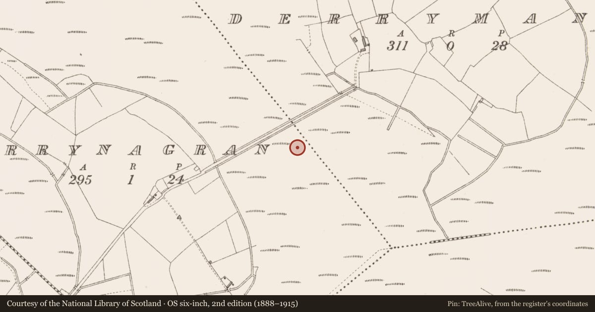 Ordnance Survey six-inch map, 2nd edition (1888–1915) covering the location of Road - class 3 togher, Derrynagran, County Longford, with a pin at the register's coordinates