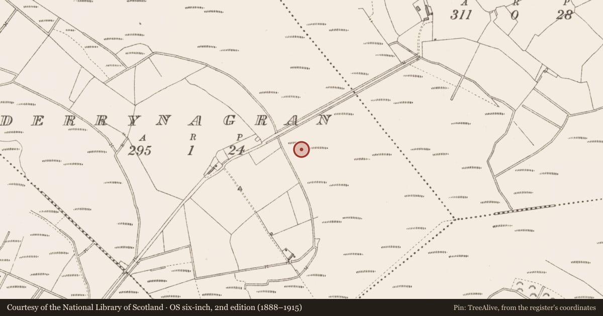 Ordnance Survey six-inch map, 2nd edition (1888–1915) covering the location of Structure - peatland, Derrynagran, County Longford, with a pin at the register's coordinates
