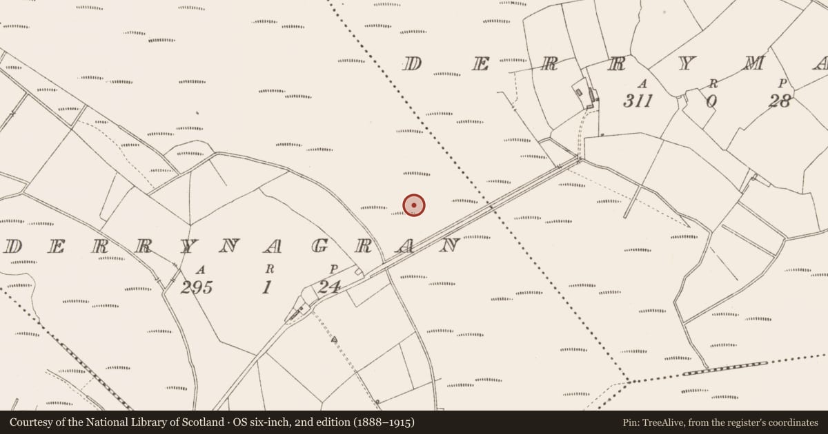 Ordnance Survey six-inch map, 2nd edition (1888–1915) covering the location of Road - class 3 togher, Derrynagran, County Longford, with a pin at the register's coordinates