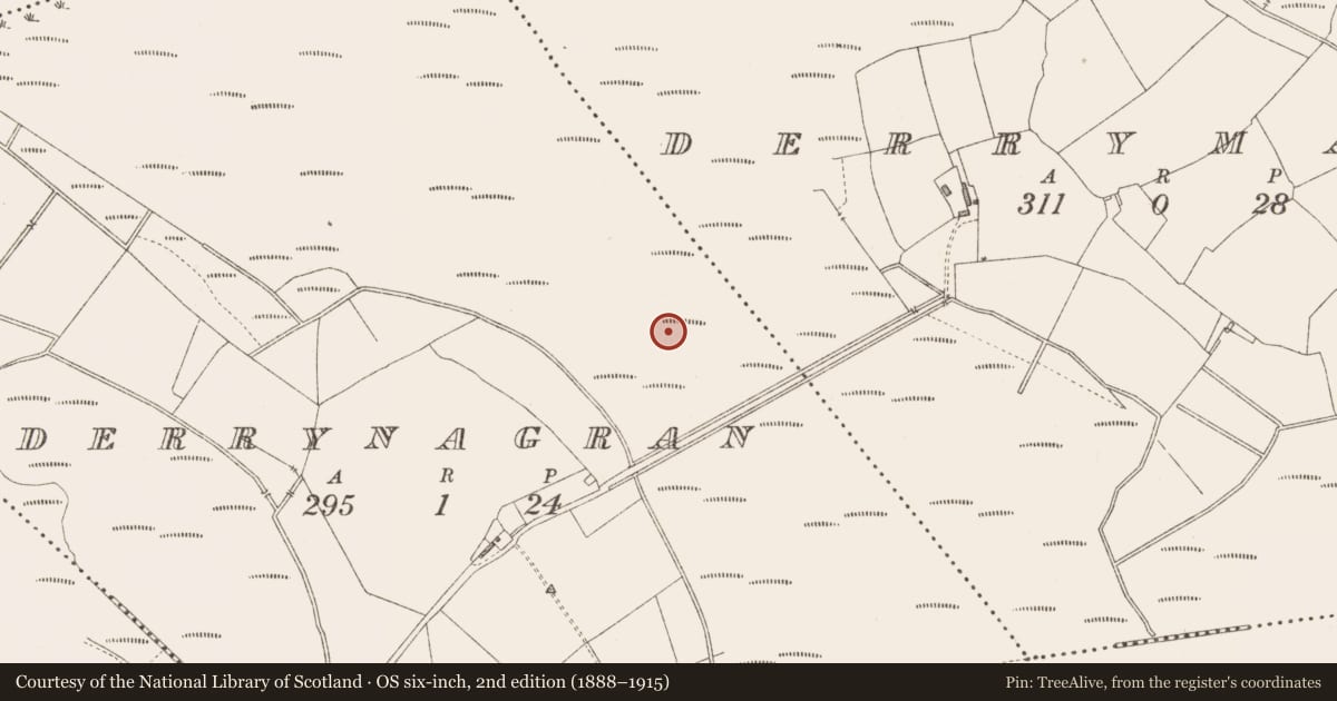 Ordnance Survey six-inch map, 2nd edition (1888–1915) covering the location of Road - class 3 togher, Derrynagran, County Longford, with a pin at the register's coordinates