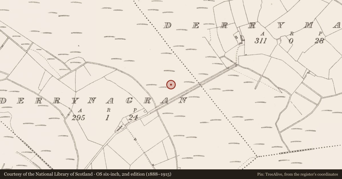 Ordnance Survey six-inch map, 2nd edition (1888–1915) covering the location of Road - class 3 togher, Derrynagran, County Longford, with a pin at the register's coordinates