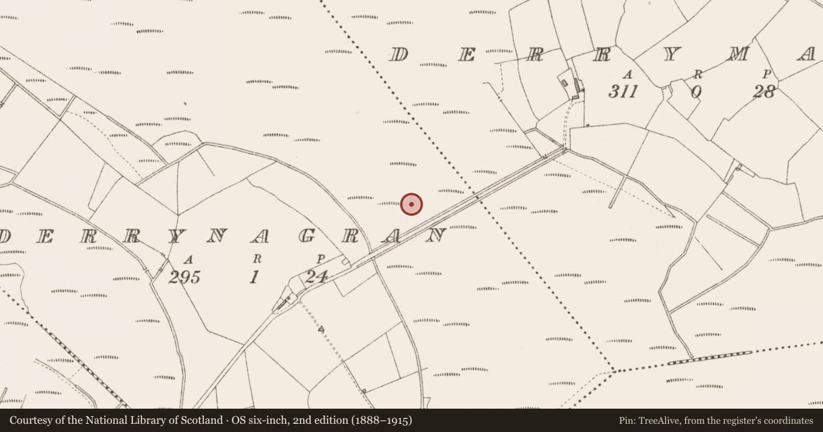 Ordnance Survey six-inch map, 2nd edition (1888–1915) covering the location of Road - class 3 togher, Derrynagran, County Longford, with a pin at the register's coordinates