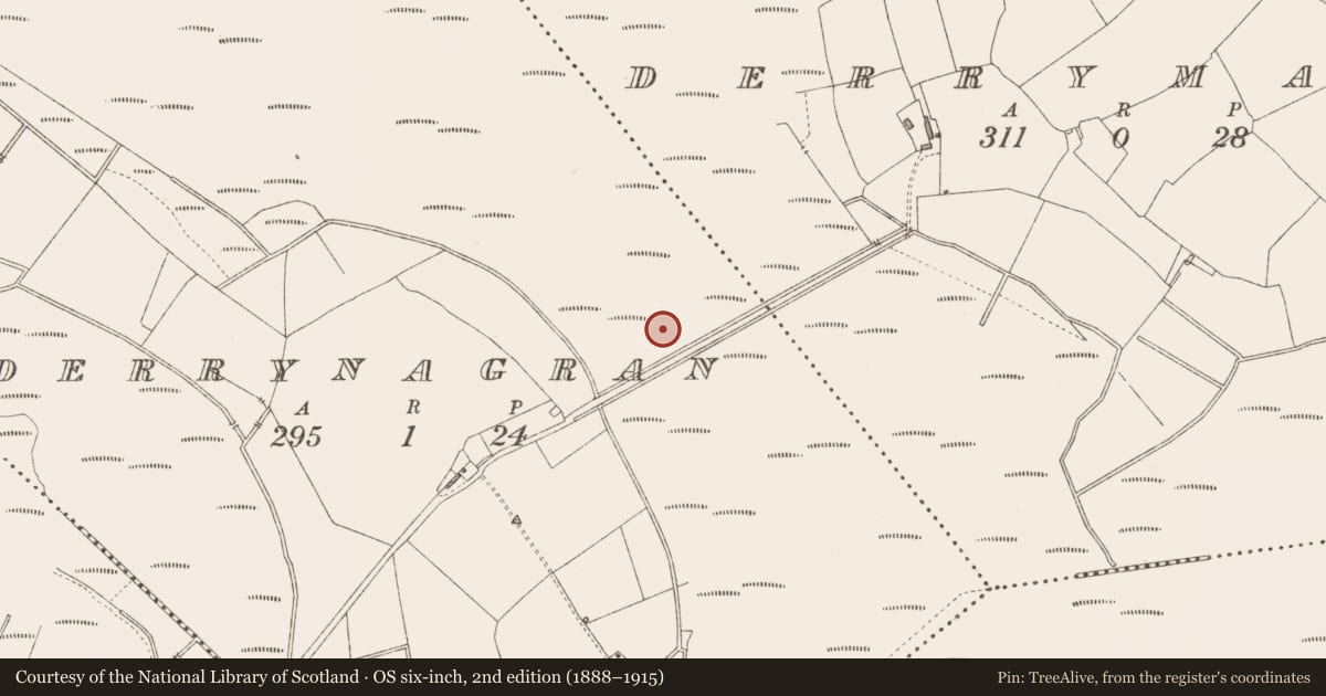 Ordnance Survey six-inch map, 2nd edition (1888–1915) covering the location of Road - class 3 togher, Derrynagran, County Longford, with a pin at the register's coordinates