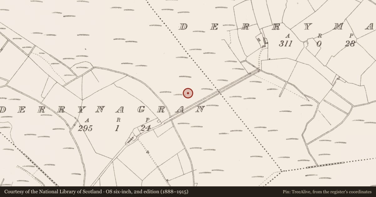 Ordnance Survey six-inch map, 2nd edition (1888–1915) covering the location of Road - class 3 togher, Derrynagran, County Longford, with a pin at the register's coordinates