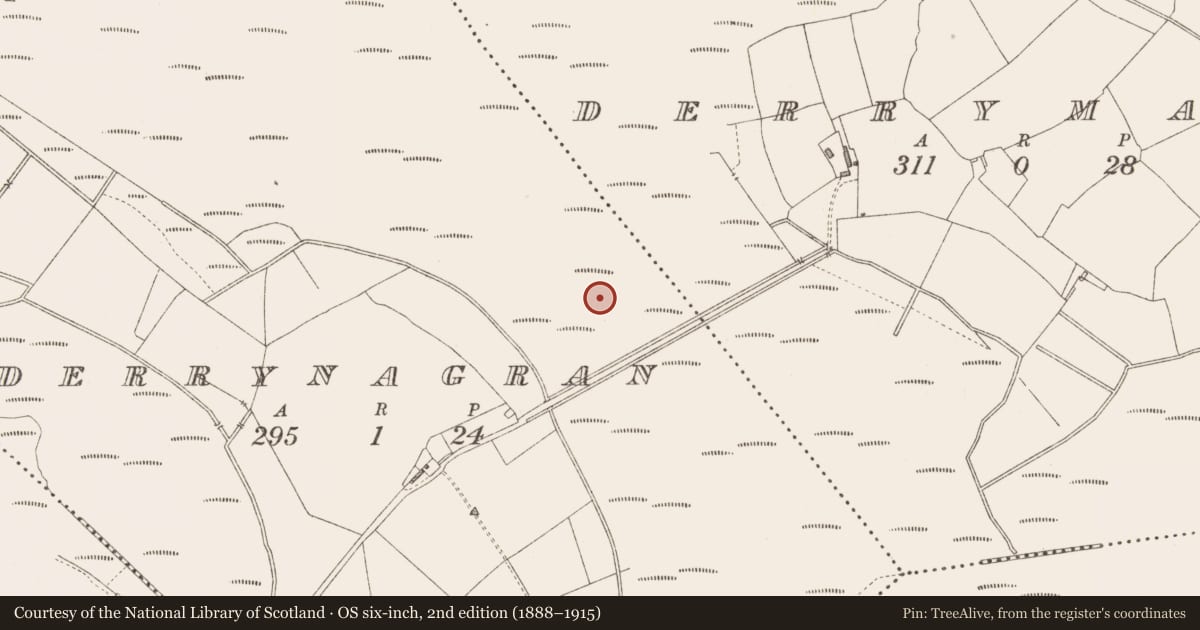 Ordnance Survey six-inch map, 2nd edition (1888–1915) covering the location of Road - class 3 togher, Derrynagran, County Longford, with a pin at the register's coordinates
