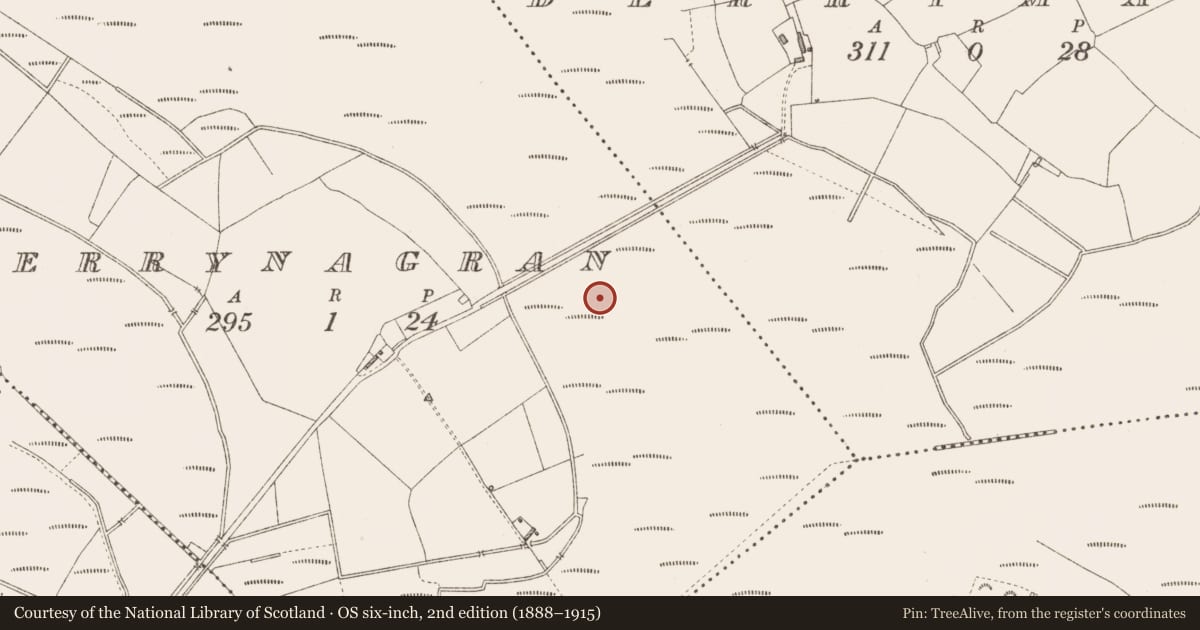 Ordnance Survey six-inch map, 2nd edition (1888–1915) covering the location of Road - class 3 togher, Derrynagran, County Longford, with a pin at the register's coordinates