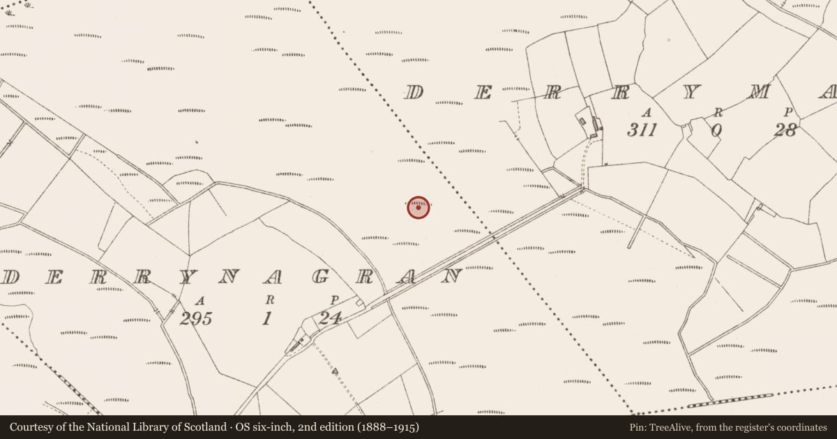 Ordnance Survey six-inch map, 2nd edition (1888–1915) covering the location of Road - class 2 togher, Derrynagran, County Longford, with a pin at the register's coordinates