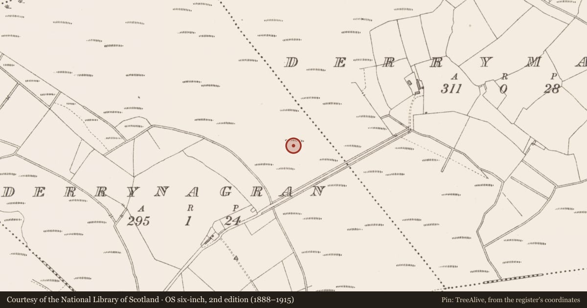 Ordnance Survey six-inch map, 2nd edition (1888–1915) covering the location of Road - class 3 togher, Derrynagran, County Longford, with a pin at the register's coordinates