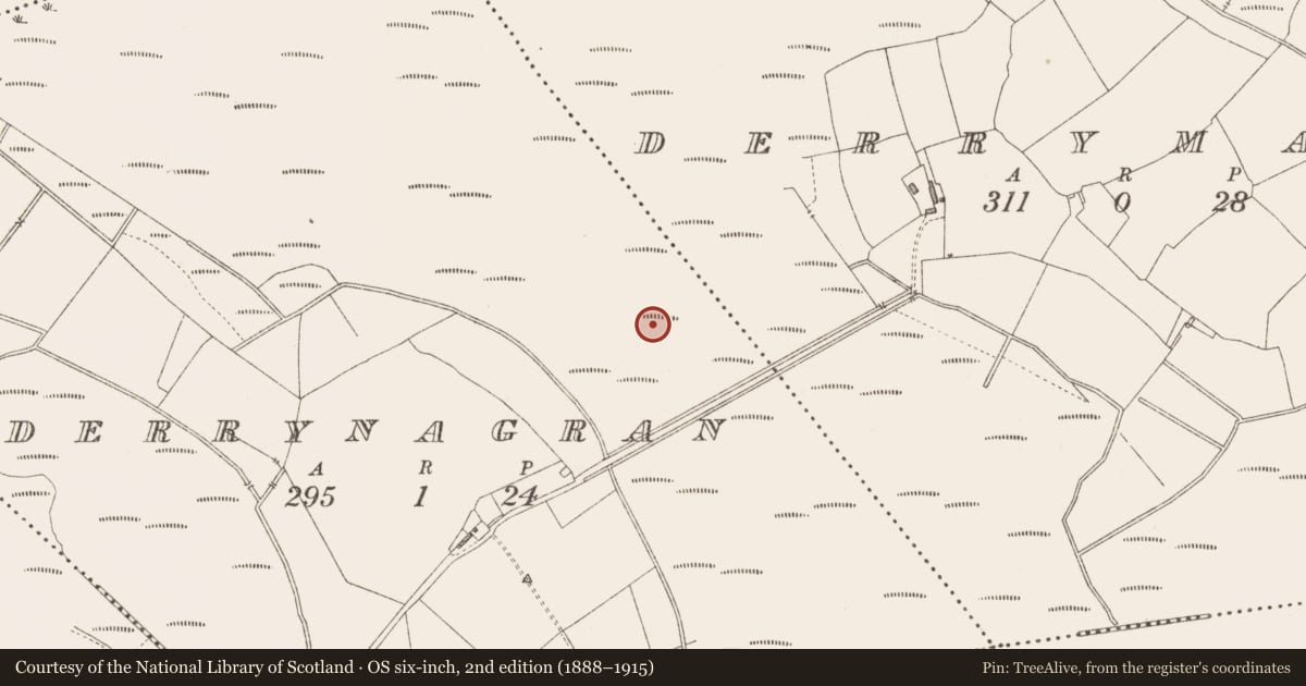 Ordnance Survey six-inch map, 2nd edition (1888–1915) covering the location of Road - class 3 togher, Derrynagran, County Longford, with a pin at the register's coordinates